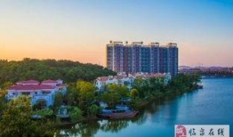 碧桂园爆料最新消息临泉,揭秘未来城市生活新篇章”